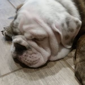 Meet your Posher, Dannielle